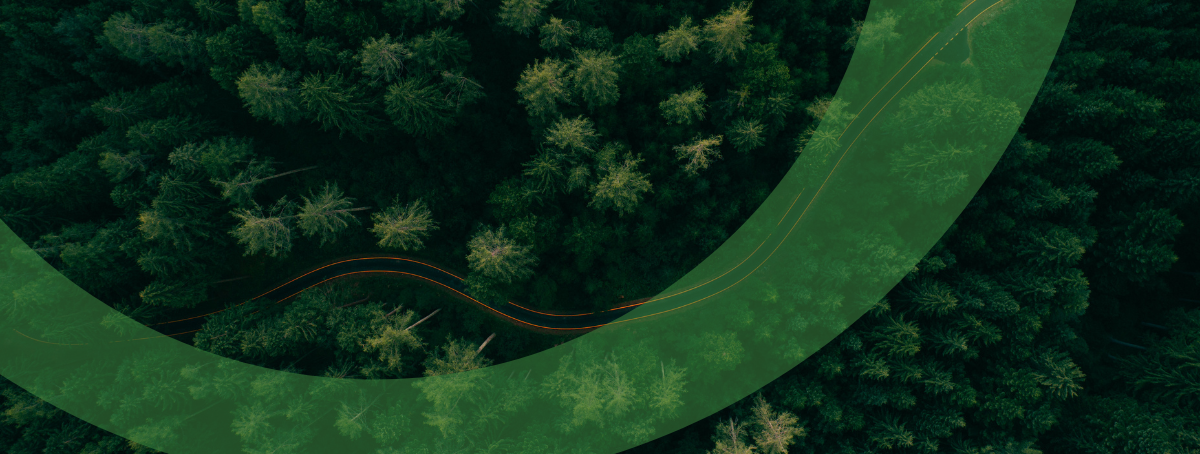 GreenUp Background